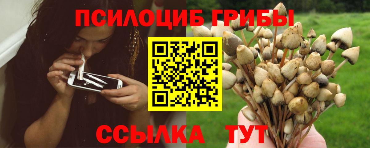 Галлюциногенные грибы мицелий Соликамск