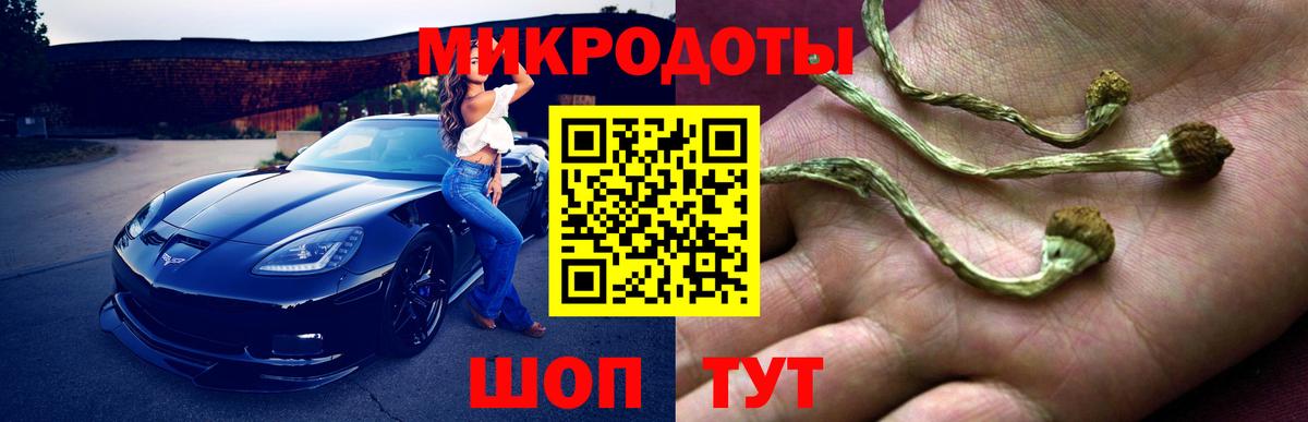 Соликамск  Галлюциногенные грибы GOLDEN TEACHER  Вход с VPN 